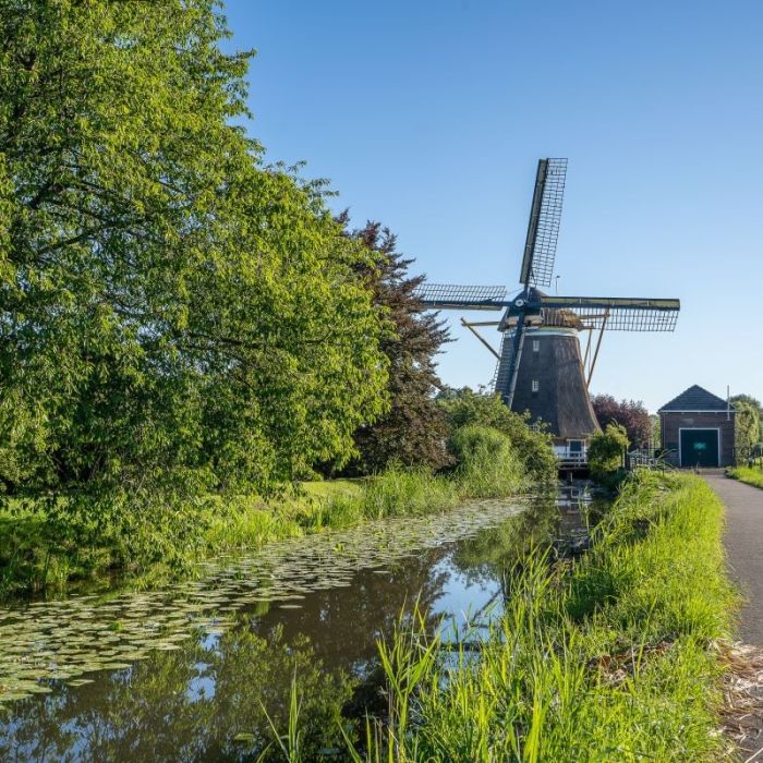 The Case of The Netherlands